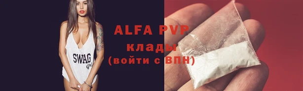 стафф Алзамай