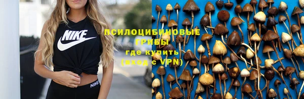 стафф Алзамай
